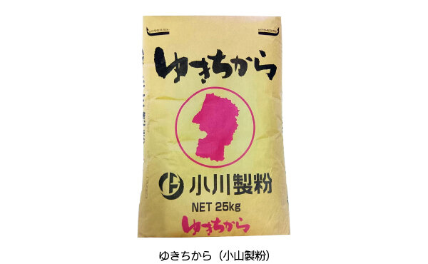 komugikikou_ryushanghai_komugi_1.jpg